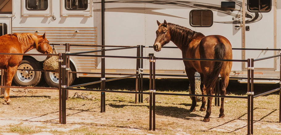 A Day in the Life of a Cowboy